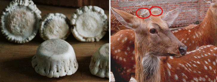 Deer Antler Buddha & Demon Pendant - Holy Buyble