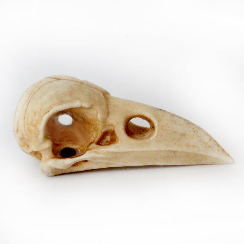 Deer Antler Raven Skull Bead