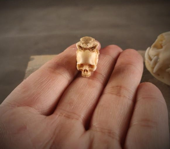 Frog Skull Pendant Necklace