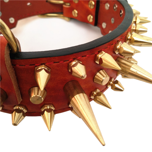 Gold spiked dog collar discount