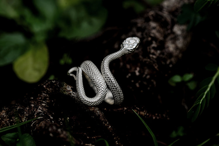 Holy Snake Ring - Holy Buyble