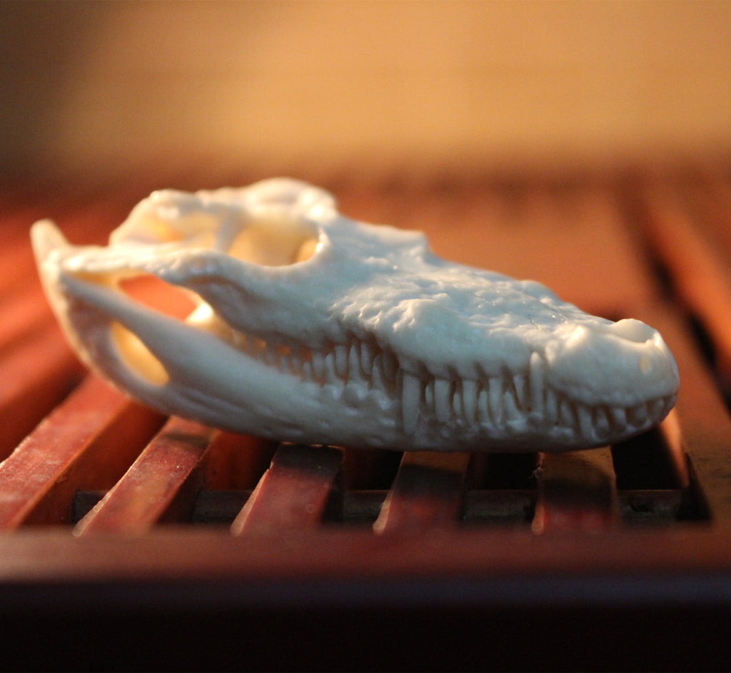 Crocodile Skeleton Pendant Necklace