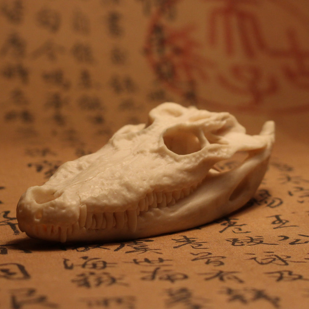 Crocodile Skeleton Pendant Necklace