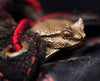 Viper Snake Shoelace Charm