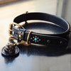 Bulldog Premium Leather Dog Collar - Holy Buyble