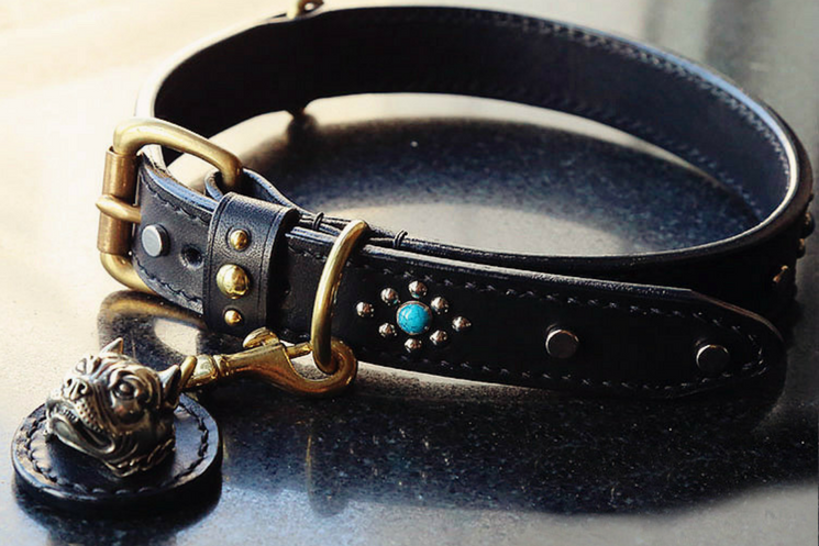 Bulldog Premium Leather Dog Collar - Holy Buyble