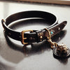 Bulldog Premium Leather Dog Collar - Holy Buyble