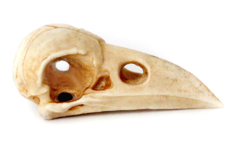 Deer Antler Raven Skull Bead