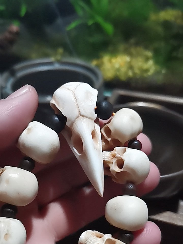 Deer Antler Raven Skull Bead