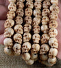 Deer Antler Demon Skull Necklace - Holy Buyble