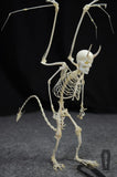 Devil Skeleton Skull