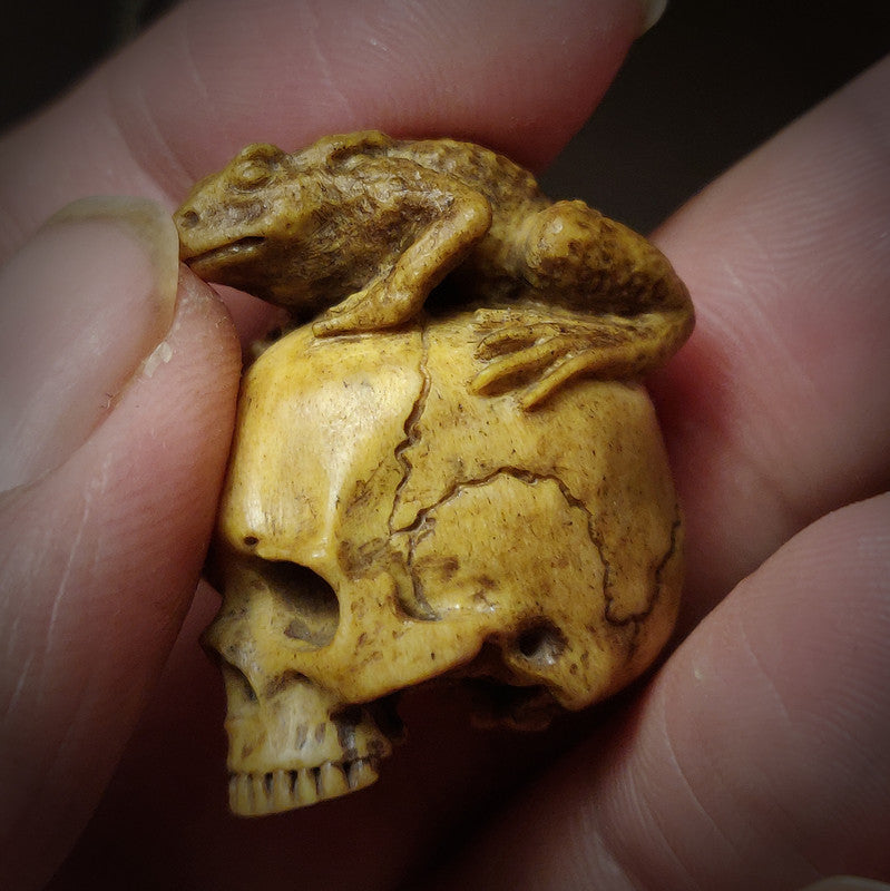  Frog Skull Pendant Necklace