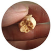  Frog Skull Pendant Necklace