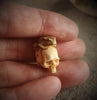  Frog Skull Pendant Necklace
