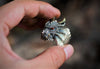 Game of Thrones House Targaryen Dragon Ring