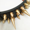 Golden Spikes Genuine Leather Dog Collar - Holy Buyble