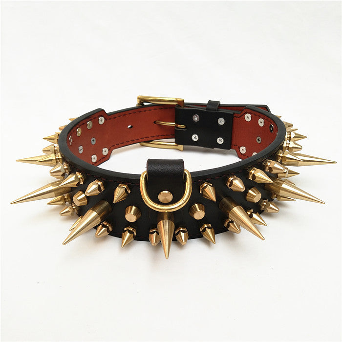 Golden Spikes Genuine Leather Dog Collar - Holy Buyble