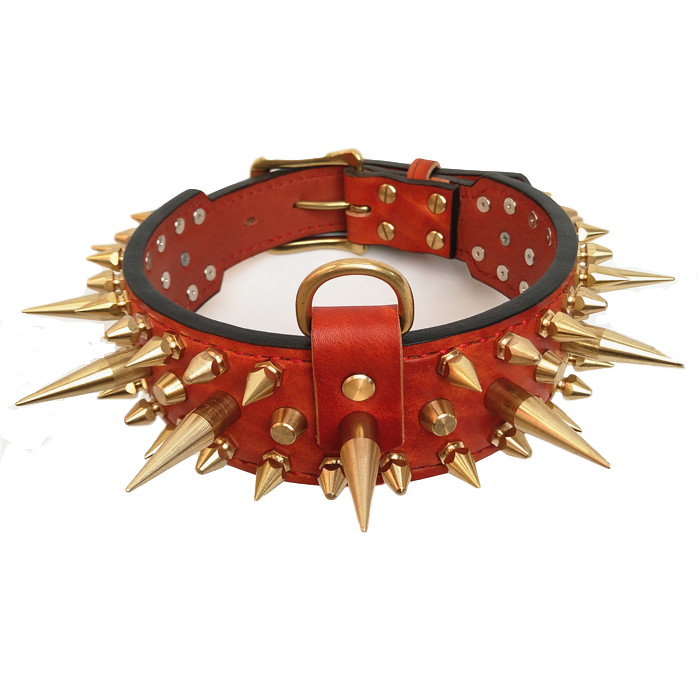 Golden Spikes Genuine Brown Leather Dog Collar - Holy Buyble