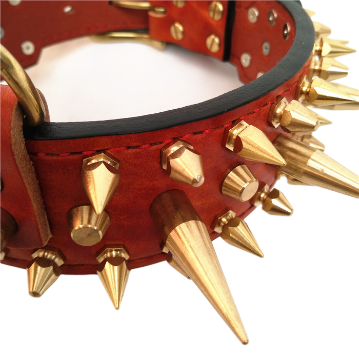 Gold spiked dog collar online