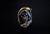 Grim Reaper the Ring of Death - Holy Buyble