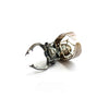 Hercules Beetle Skeleton Silver Ring - Holy Buyble