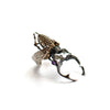 Hercules Beetle Skeleton Silver Ring - Holy Buyble