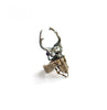 Hercules Beetle Skeleton Silver Ring - Holy Buyble