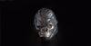 Raging Planet of Ape Ring - Holy Buyble