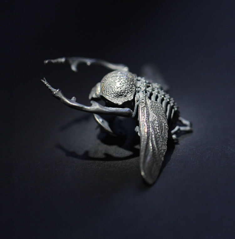 Scarab beetle hot sale brooch
