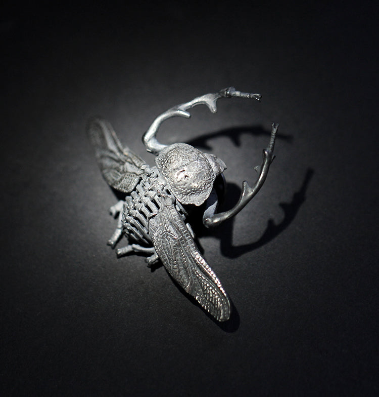 Long-armed Scarab Beetle Brooch - Holy Buyble