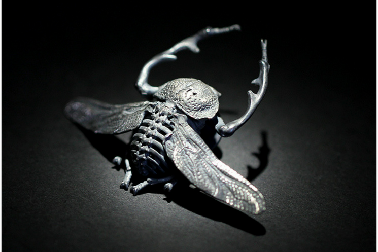 Long armed Scarab Beetle Brooch