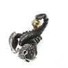 Scorpion Pendant - Holy Buyble