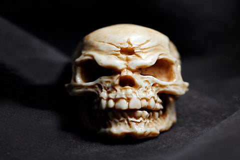 Saber-Toothed Tiger Skull Skeleton Necklace