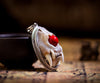 Skull Skeleton Animal Bone Beast Pendant Necklace