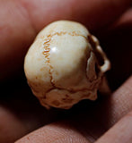 Decayed Deer Antler Skull Bead - Holy Buyble