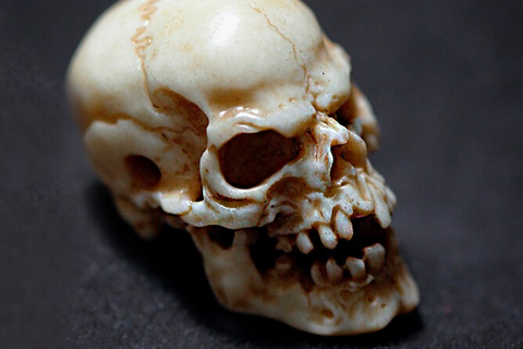 Saber-toothed Tiger Skeleton Necklace