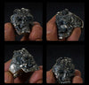 Twin Dragon Hell of Skull Ring - Holy Buyble