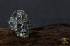 Twin Dragon Hell of Skull Ring - Holy Buyble