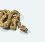 Snake Pendant Key Ring - Holy Buyble