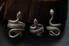 Holy Snake Ring - Holy Buyble