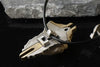 Tyrael Archangel Warrior Angel Sword Gemstone Ring pendant necklace