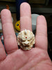 Mystic Unicorn Pixiu Deer Antler Ring - Holy Buyble