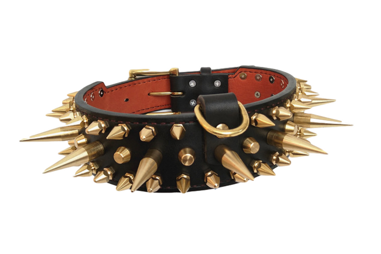 Golden Spikes Genuine Leather Dog Collar