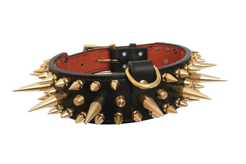 Grim Reaper Studded Leather Dog Collar
