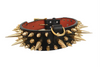 Golden Spikes Genuine Leather Dog Collar - Holy Buyble