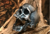 Made to Order Vampire Skull Silver Ring - Holy Buyble